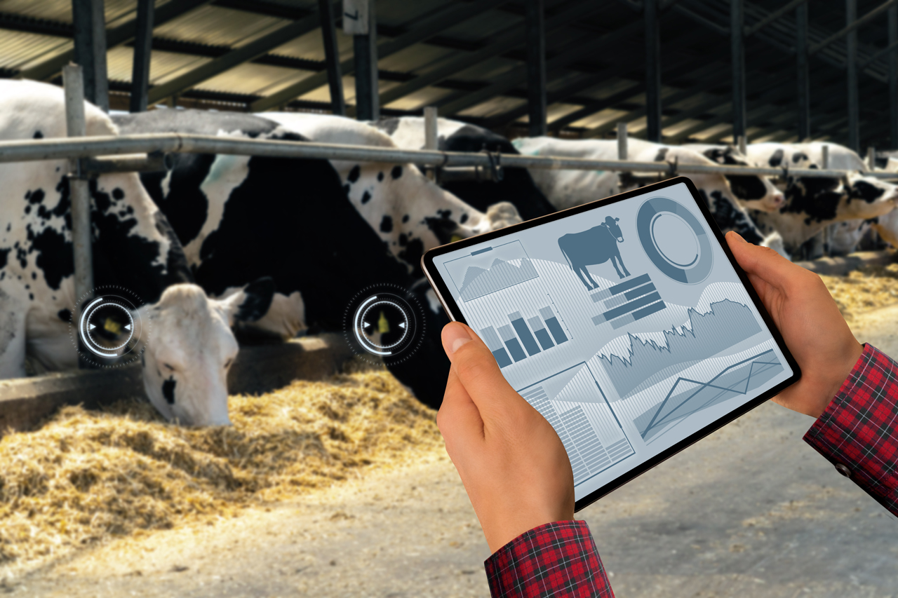 Introducing TFOOD: our latest solution for milk tank monitoring
